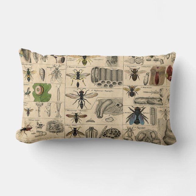 Bee Insect Bug Wasp Natural Nature Bees Painting Lumbar Cushion (Front)