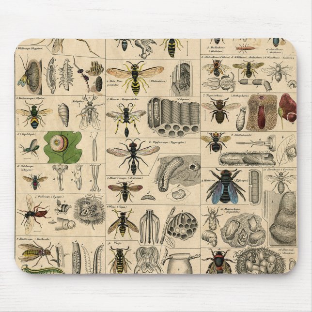 Bee Insect Bug Wasp Natural Nature Bees Painting Mouse Pad (Front)