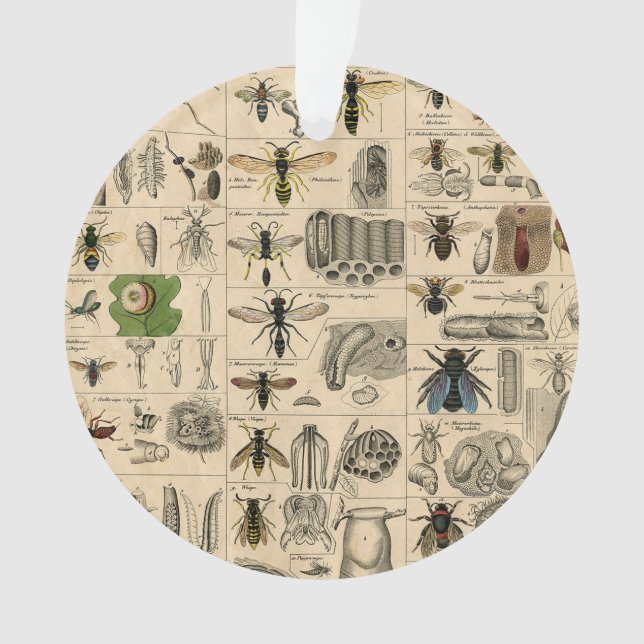 Bee Insect Bug Wasp Natural Nature Bees Painting Ornament (Front)