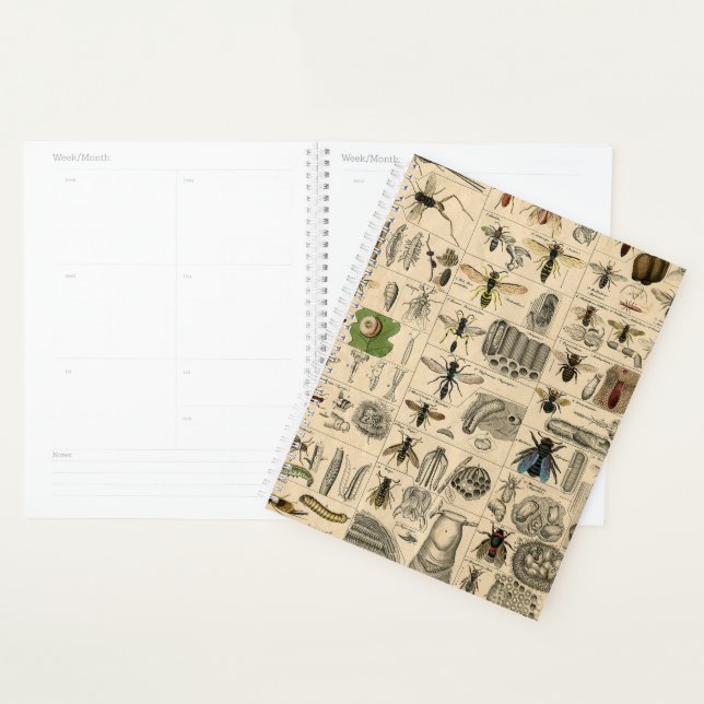 Bee Insect Bug Wasp Natural Nature Bees Painting Planner (Display)