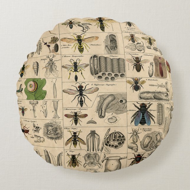 Bee Insect Bug Wasp Natural Nature Bees Painting Round Cushion (Front)