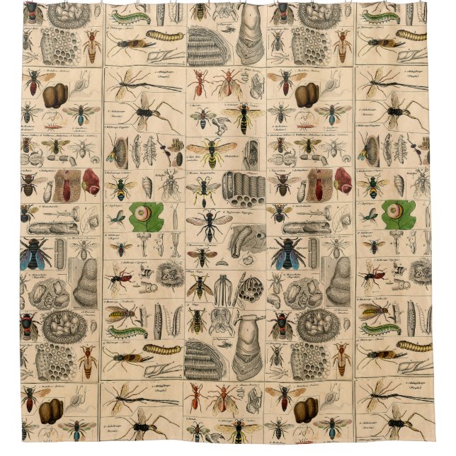 Bee Insect Bug Wasp Natural Nature Bees Painting Shower Curtain (Front)
