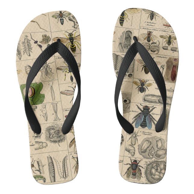 Bee Insect Bug Wasp Natural Nature Bees Painting Thongs (Footbed)