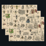 Bee Insect Bug Wasp Natural Nature Bees Painting Wrapping Paper Sheet<br><div class="desc">Bees and wasps illustration from an antique image from a Natural History book from the mid-1800s,  this old image identifies different bee and wasp insects.</div>