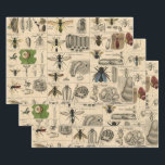 Bee Insect Bug Wasp Natural Nature Bees Painting Wrapping Paper Sheet<br><div class="desc">Bees and wasps illustration from an antique image from a Natural History book from the mid-1800s,  this old image identifies different bee and wasp insects.</div>