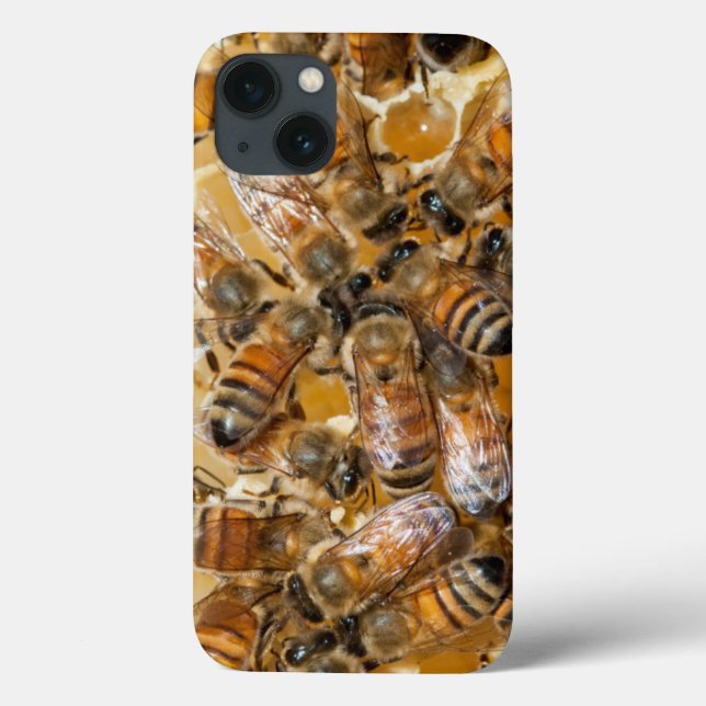Bee keeping at Arlo's Honey Farm Case-Mate iPhone Case (Back)