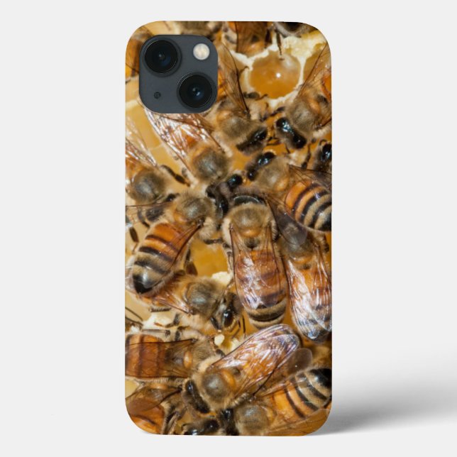 Bee keeping at Arlo's Honey Farm Case-Mate iPhone Case (Back)