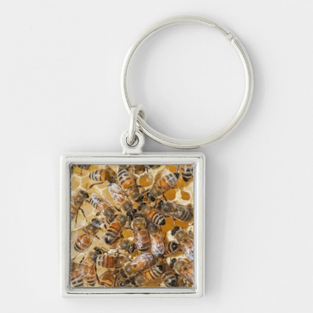 Bee keeping at Arlo's Honey Farm Key Ring (Front)