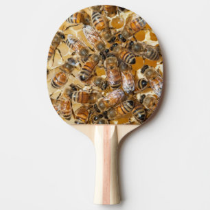 Bee keeping at Arlo's Honey Farm Ping Pong Paddle