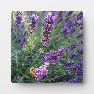 Bee & Lavender Plaque