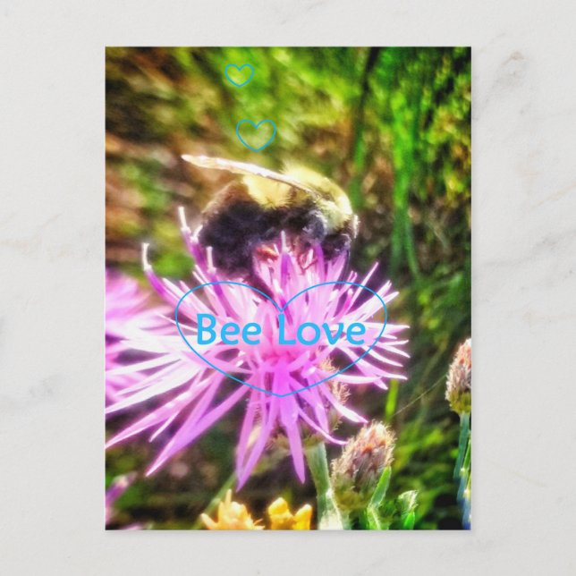 BEE LOVE  ORIGINAL POSTCARD (Front)