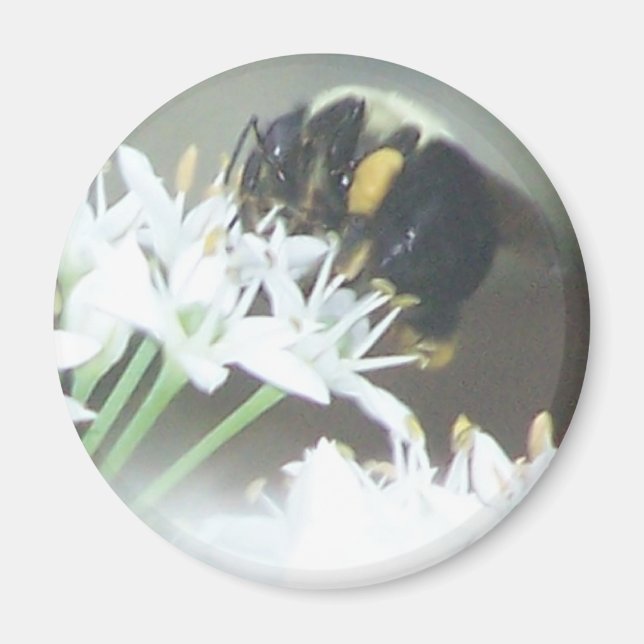 Bee Magnet (Front)