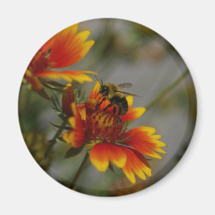 Bee Magnet