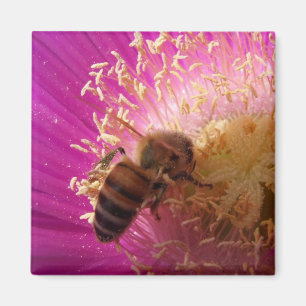 Bee Magnets