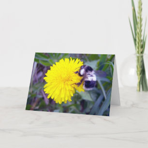 Bee My Valentine? Holiday Card