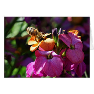Bee 'n Beauty