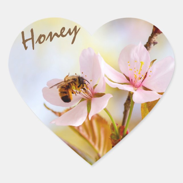Bee On A Cherry Flower Heart Sticker (Front)