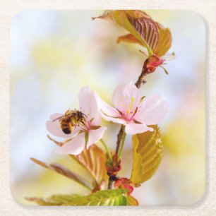 Bee On A Cherry Flower Square Paper Coaster