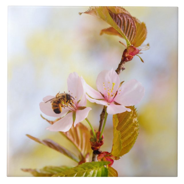Bee On A Cherry Flower Tile (Front)
