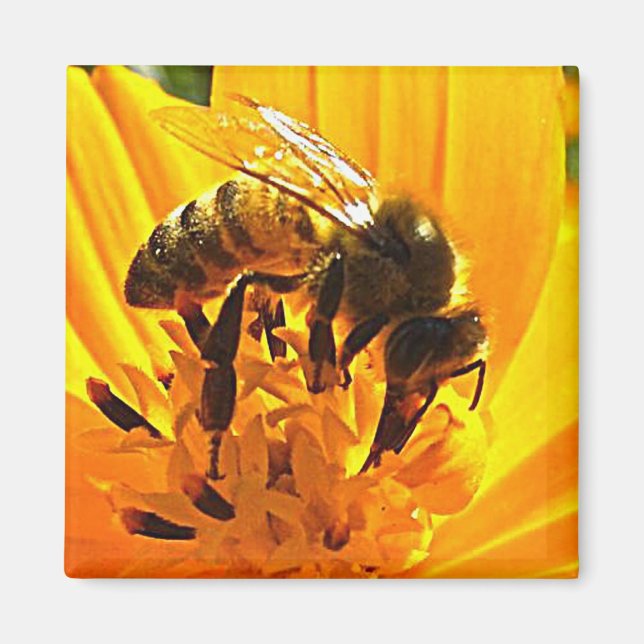 Bee on a Flower Magnet (Front)