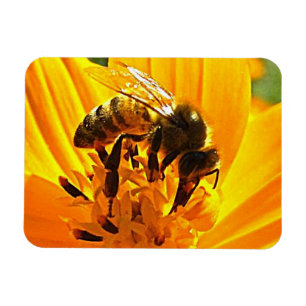 Bee on a Flower Magnet
