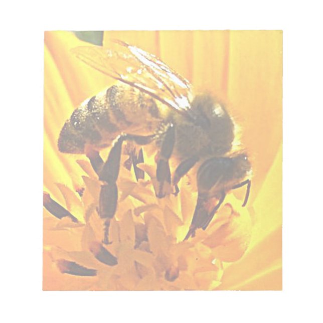 Bee on a Flower Notepad (Front)