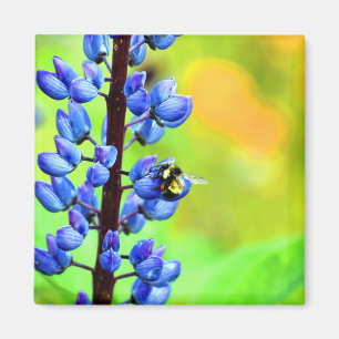 Bee on a Lupin Photograph Magnet