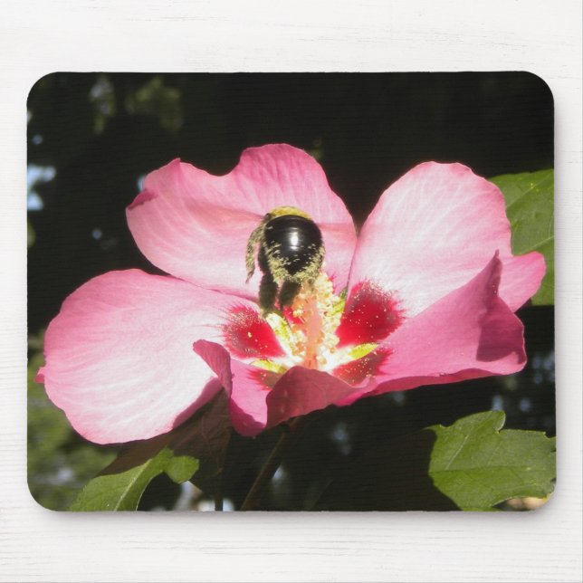 Bee on a Rose of Sharon mousepad (Front)