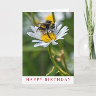 Bee on a white daisy birthday card