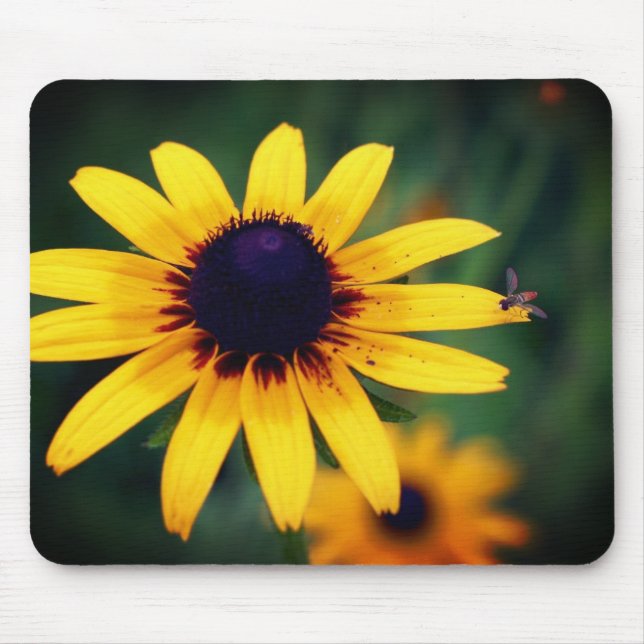 Bee On Black Eyed Susan Flower  Mouse Pad (Front)