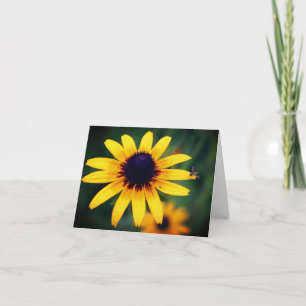 Bee On Black Eyed Susan Flower Photography  Note Card