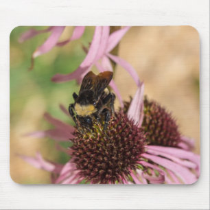 Bee On Black Eyed Susan Pano Mouse Pad
