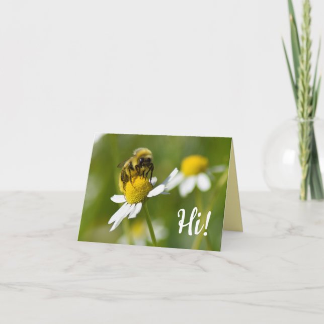 Bee On Camomile Flower Hi! Blank Photo Note Card (Front)