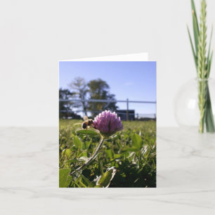Bee on Clover Notecard