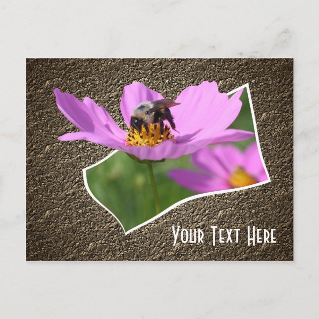 Bee On Cosmos Flower Customisable Postcard (Front)