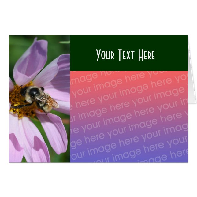 Bee On Cosmos Flower Nature Photo Card (Front Horizontal)