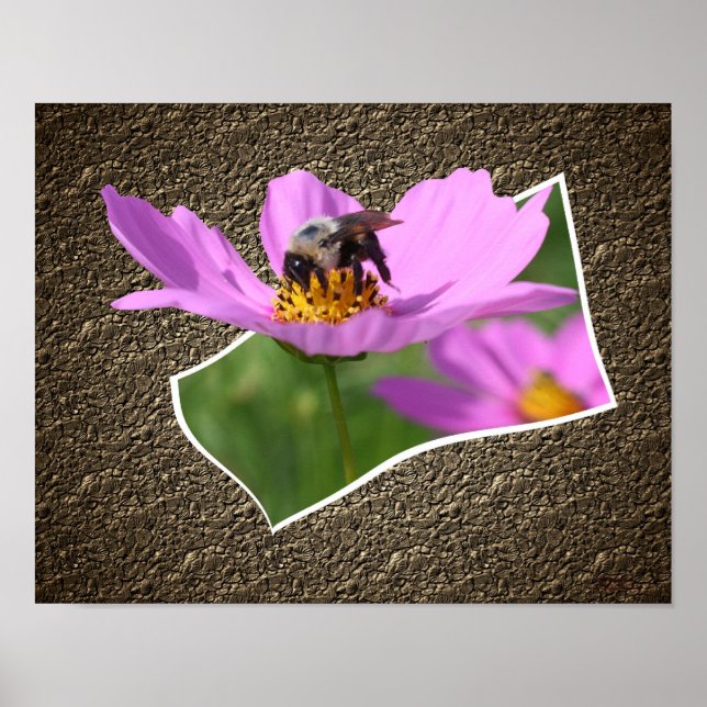 Bee On Cosmos Flower Out Of Frame Art Poster (Front)