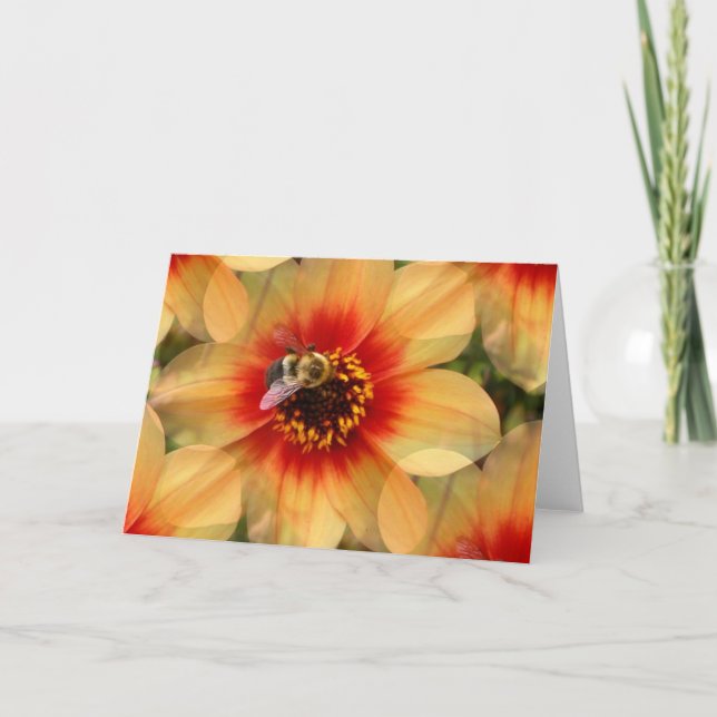 Bee on Dahlia Card (Front)