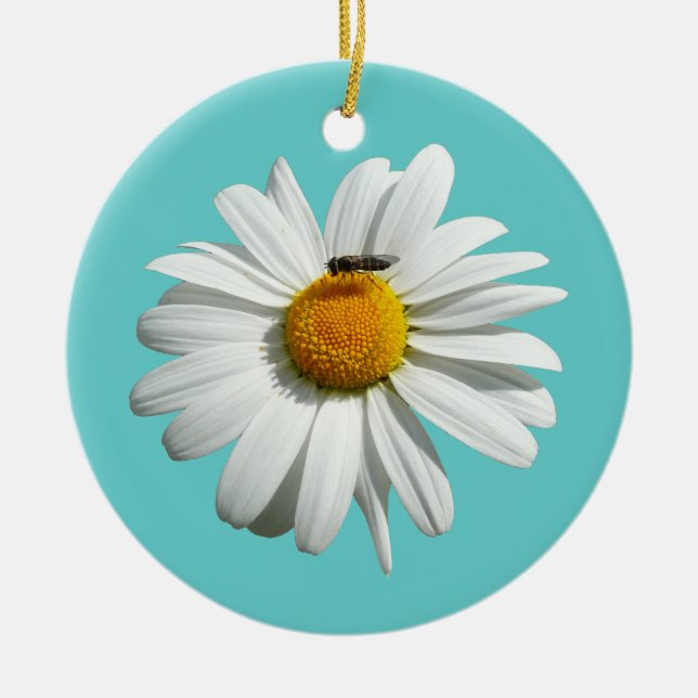 Bee on Daisy Alaskan Summer Nature Photo Ceramic Ornament (Front)