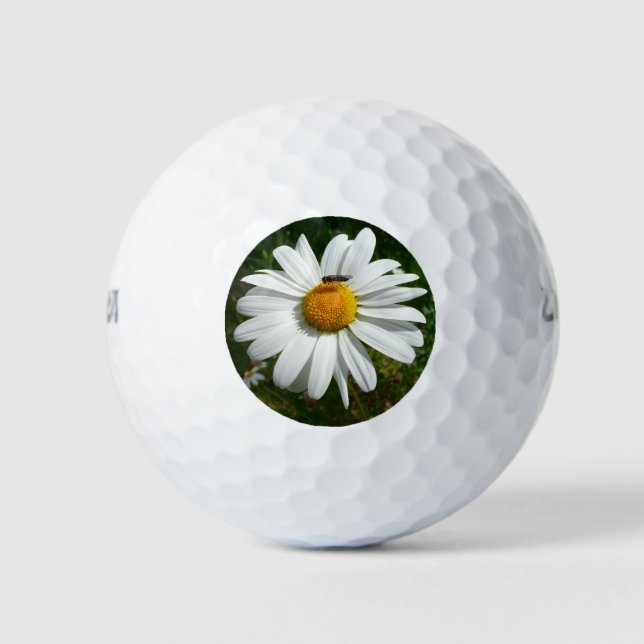 Bee on Daisy Alaskan Summer Nature Photo Golf Balls (Front)