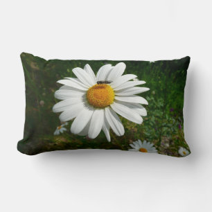 Bee on Daisy Alaskan Summer Nature Photo Lumbar Cushion