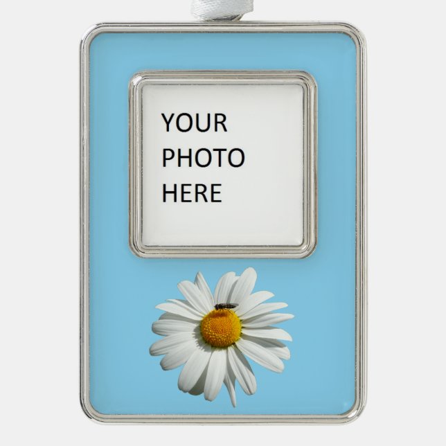 Bee on Daisy Alaskan Summer Nature Photo Silver Plated Framed Ornament (Front)