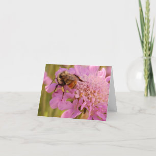 Bee on Flower Card