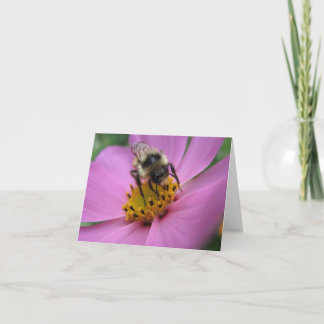 Bee on flower note card