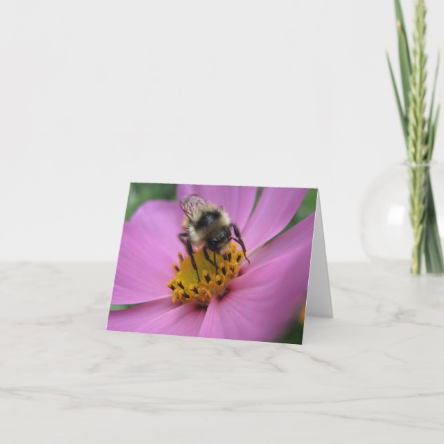 Bee on flower note card (Front)