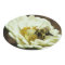 Bee on Flower Sticker