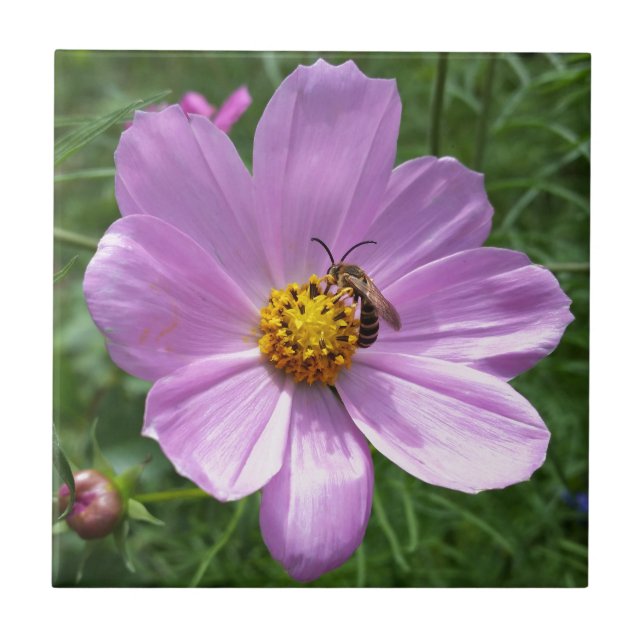 bee on flower tile (Front)