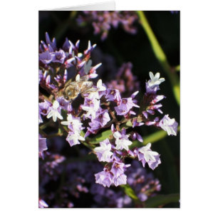 Bee on flowers card (v)