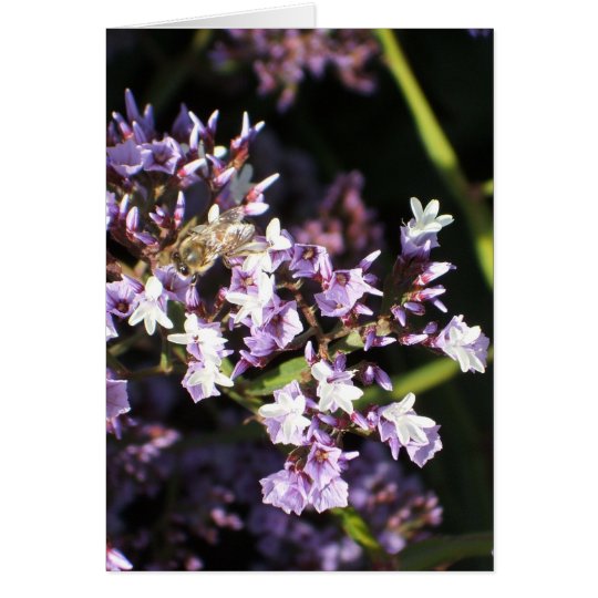 Bee on flowers card (v)