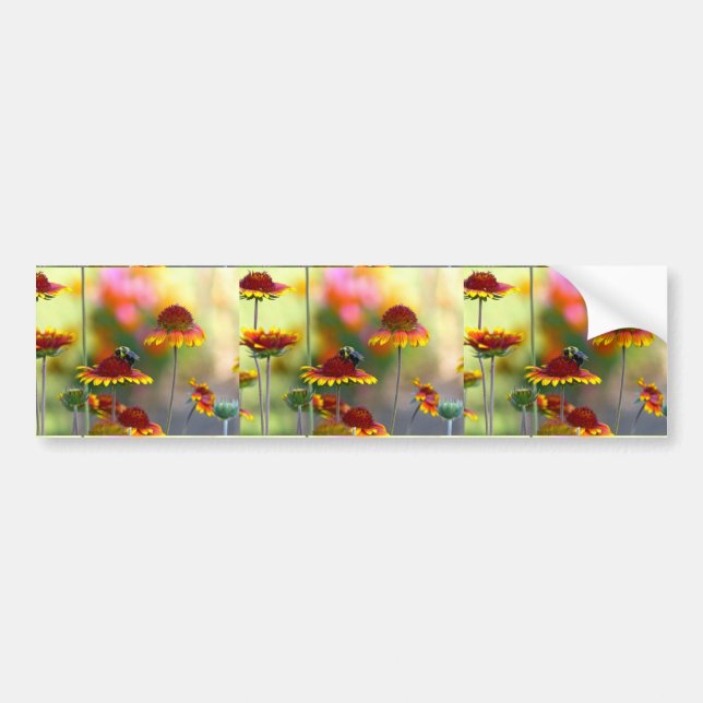 Bee on Gaillardia Bumper Sticker (Front)